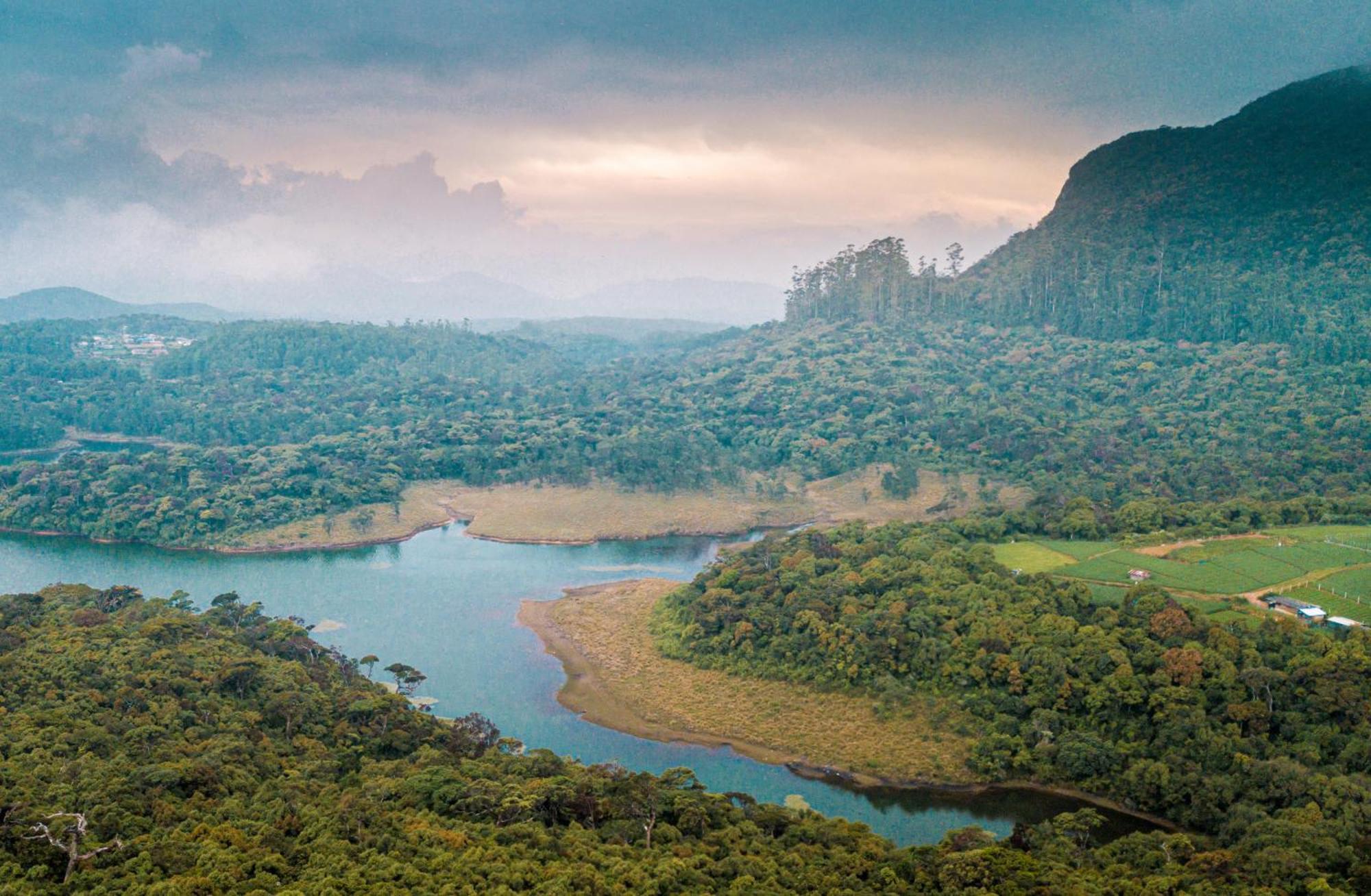 The Forest And Lake By Schofieldshire Νουβάρα Ελίγια Εξωτερικό φωτογραφία